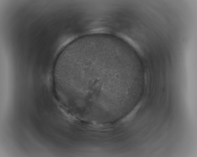 X0000113931405200910091552