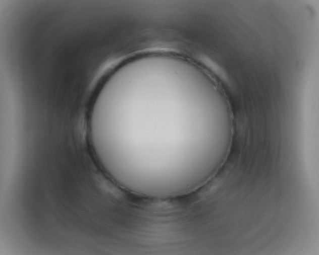 X0000113931408200910091552