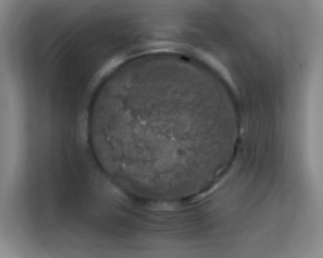 X0000113931411200910091552