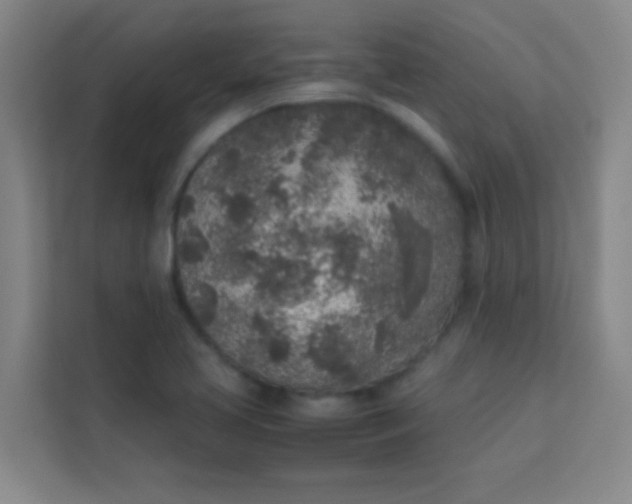 X0000113931413200910091552