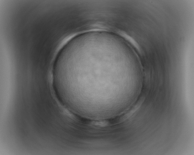 X0000113931415200910091552