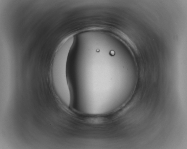 X0000113931417200910091553