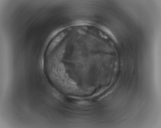 X0000113931419200910091553