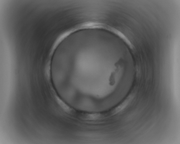 X0000113931421200910091553