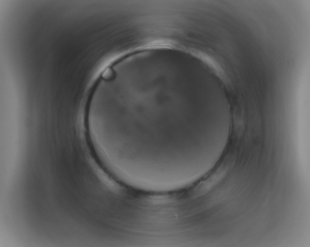 X0000113931422200910091553