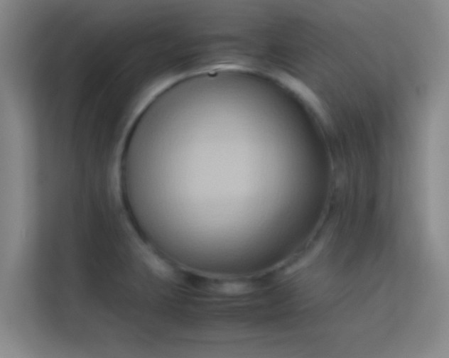 X0000113931423200910091553