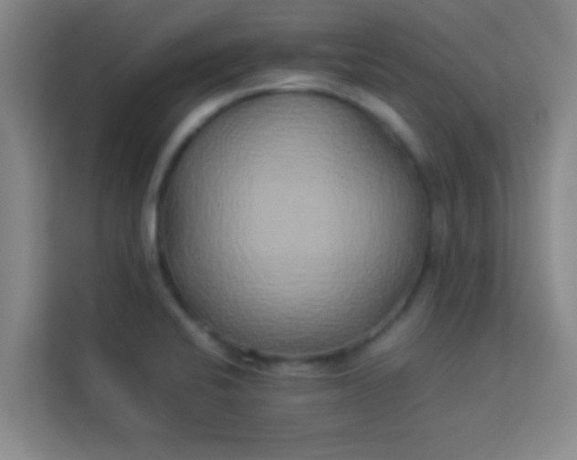 X0000113931424200910091553