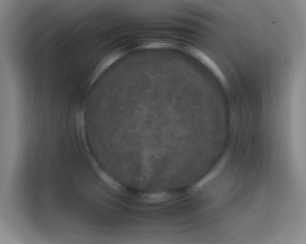 X0000113931425200910091553