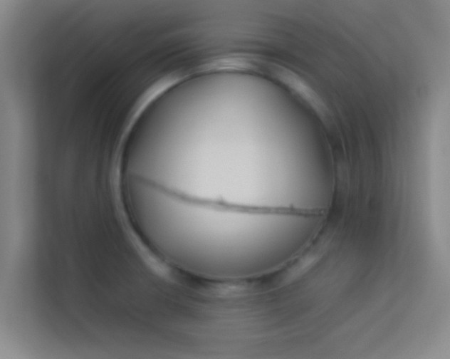 X0000113931426200910091553