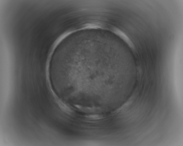 X0000113931427200910091553