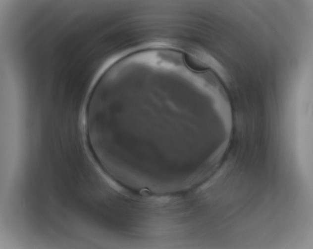 X0000113931428200910091553