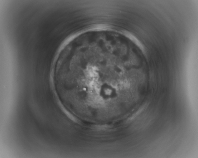 X0000113931429200910091553