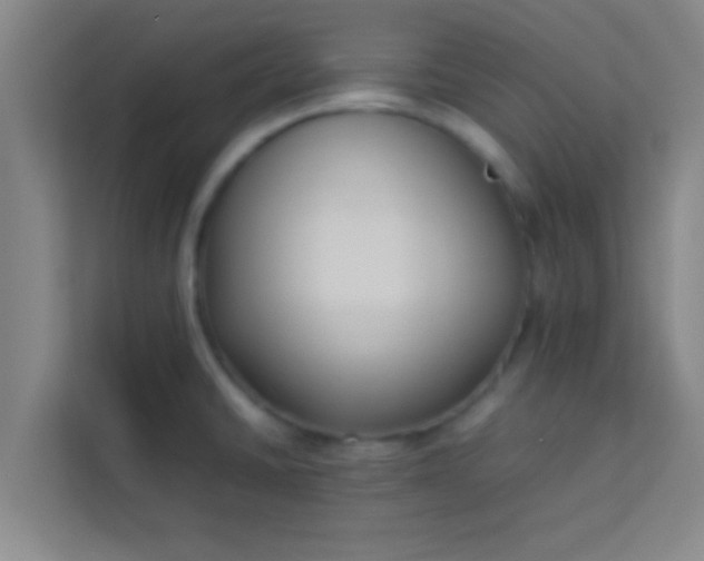 X0000113931430200910091553