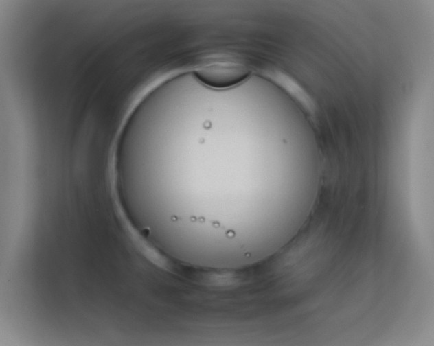 X0000113931431200910091553