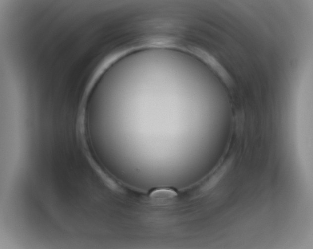 X0000113931432200910091553