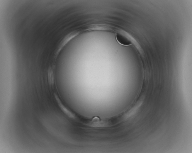 X0000113931433200910091553