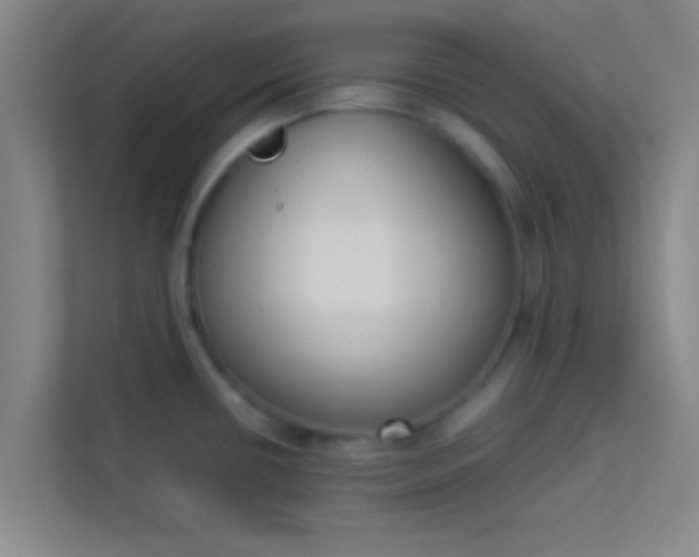 X0000113931434200910091553