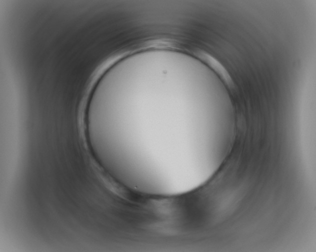 X0000113931435200910091553