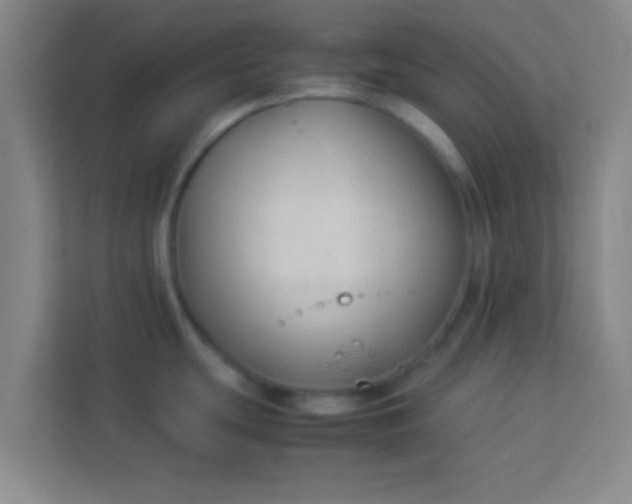 X0000113931439200910091553