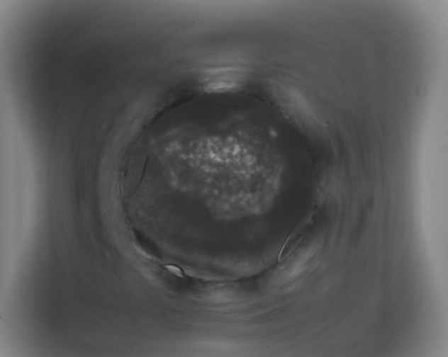 X0000113931441200910091552