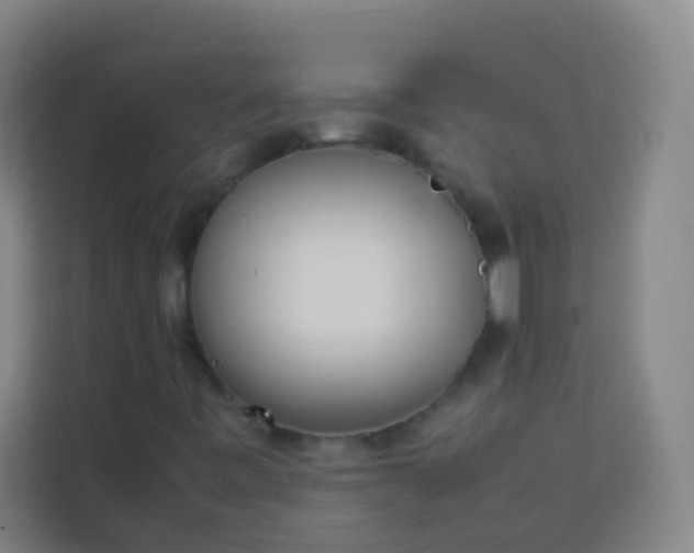 X0000113931443200910091552