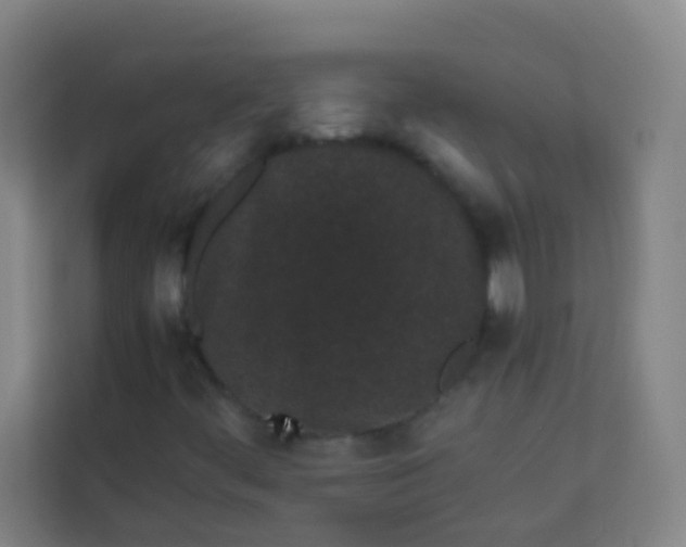 X0000113931444200910091552