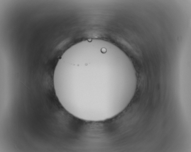 X0000113931446200910091552