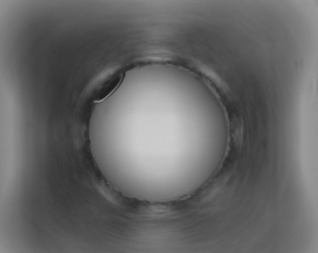 X0000113931448200910091552