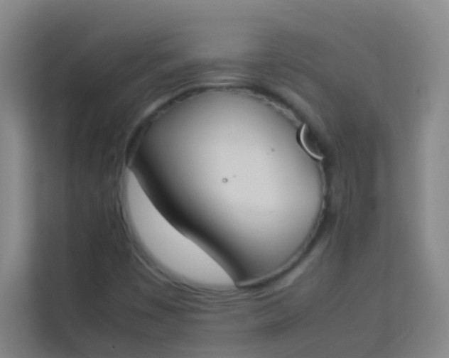 X0000113931449200910091552