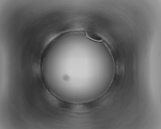 X0000113931452200910091552