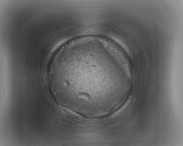 X0000113931453200910091552