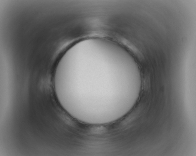 X0000113931454200910091552