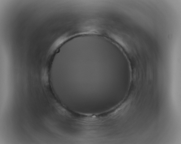 X0000113931455200910091552