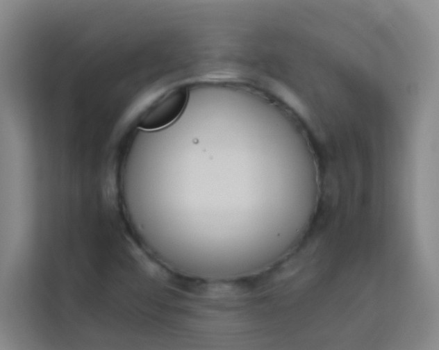 X0000113931456200910091552