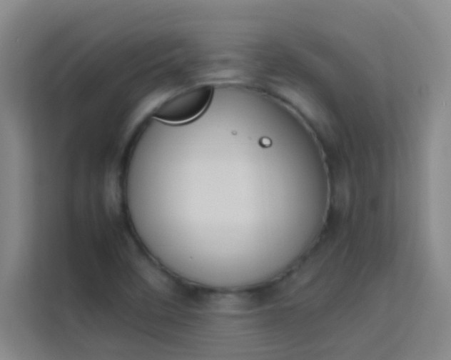 X0000113931458200910091552