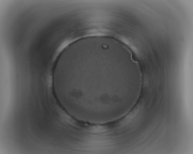 X0000113931459200910091552