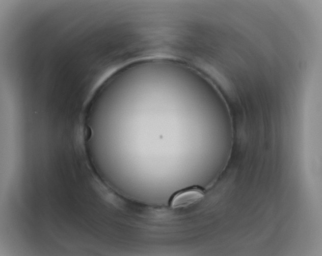 X0000113931460200910091552