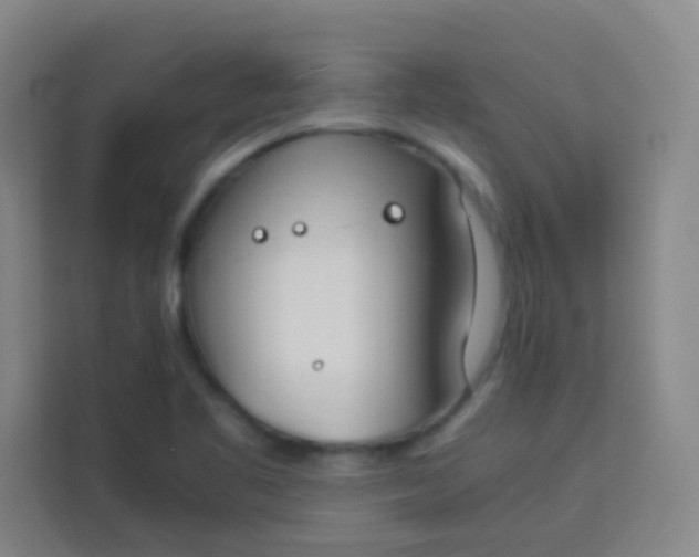 X0000113931461200910091552