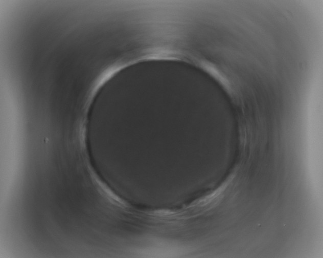 X0000113931463200910091552