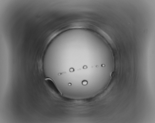 X0000113931465200910091552