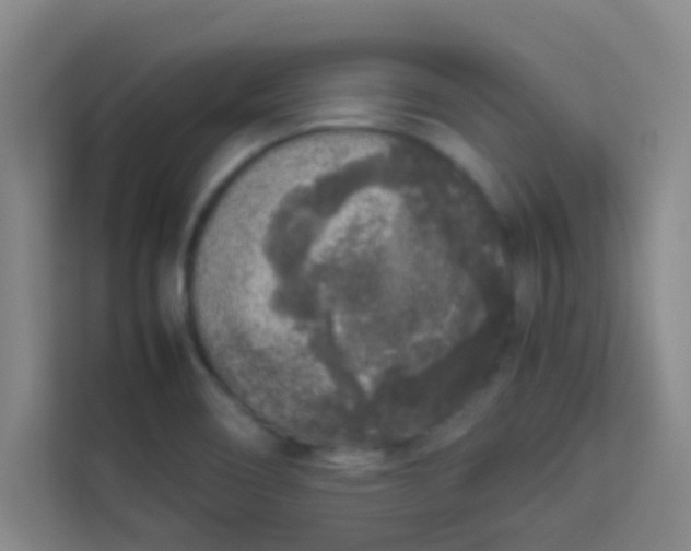 X0000113931466200910091552