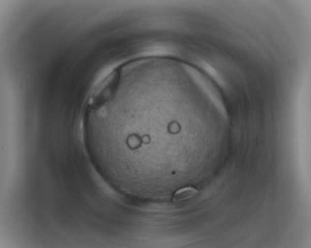 X0000113931468200910091552