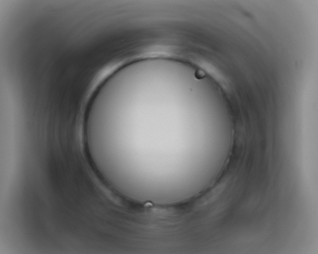 X0000113931469200910091552