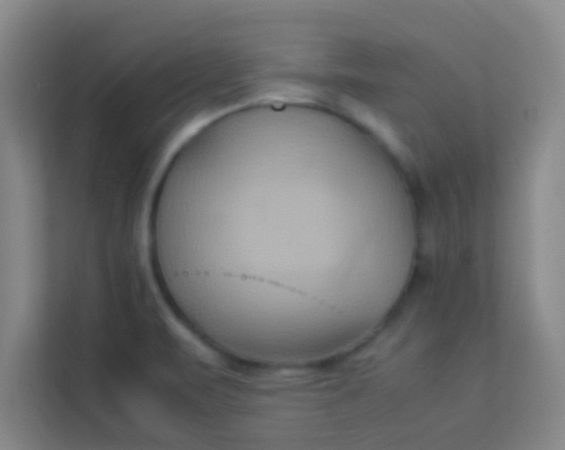 X0000113931471200910091552