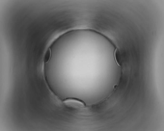 X0000113931472200910091552