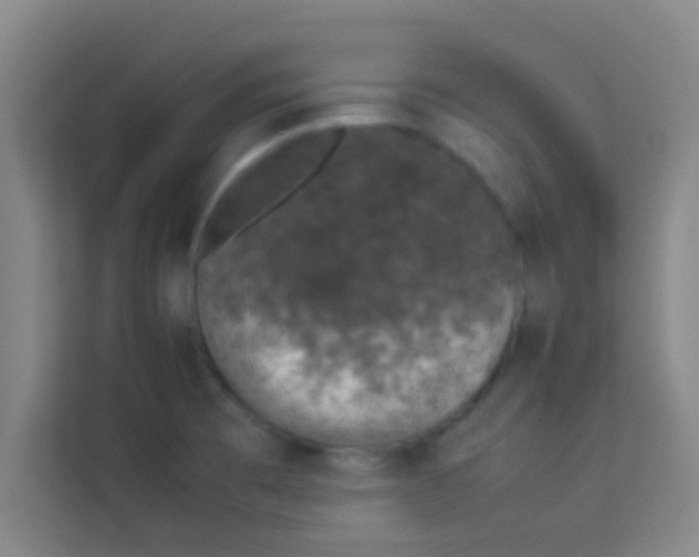 X0000113931473200910091552