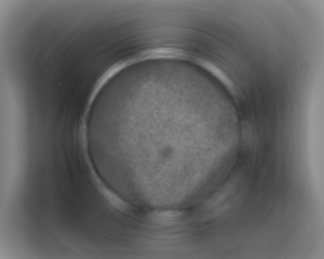 X0000113931474200910091552