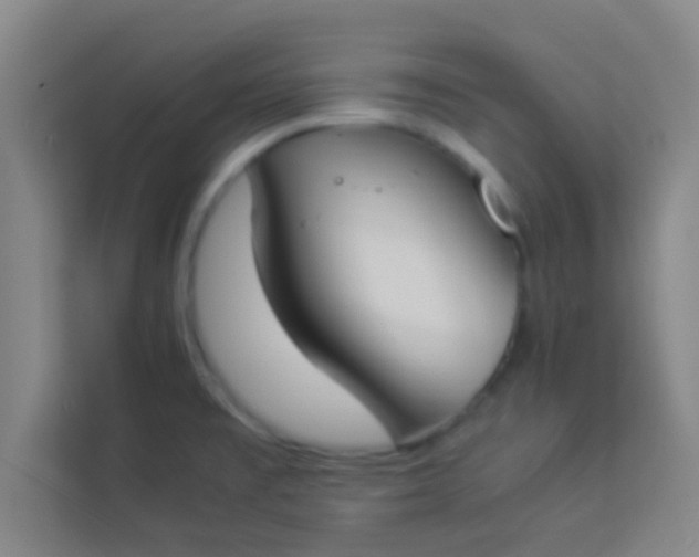 X0000113931477200910091552