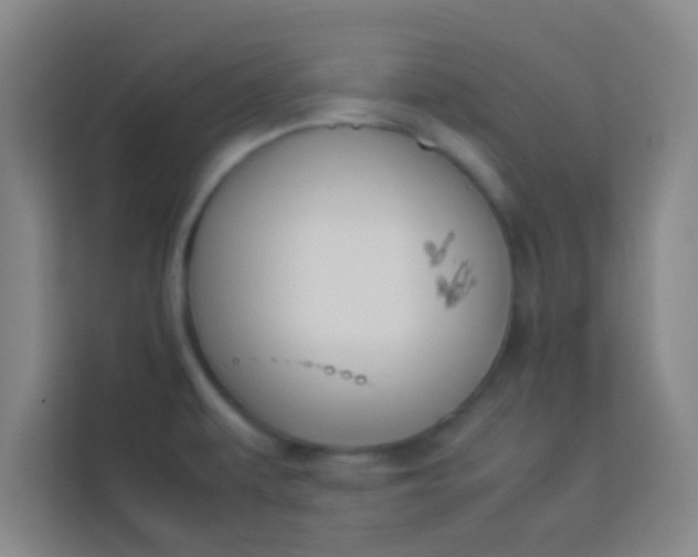 X0000113931479200910091552