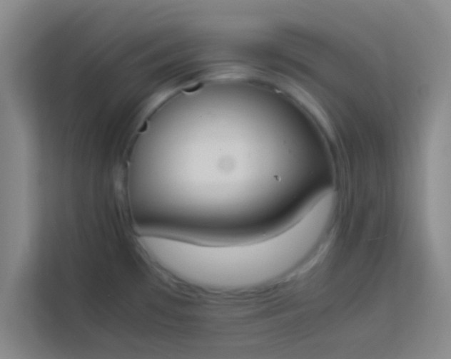 X0000113931481200910091552